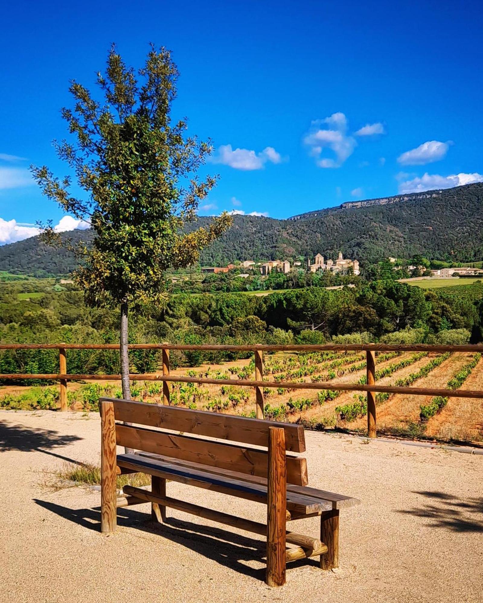 Cal Passio Vila Vimbodi I Poblet Exterior foto